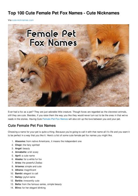 cute fox names female|names for a fennec fox.